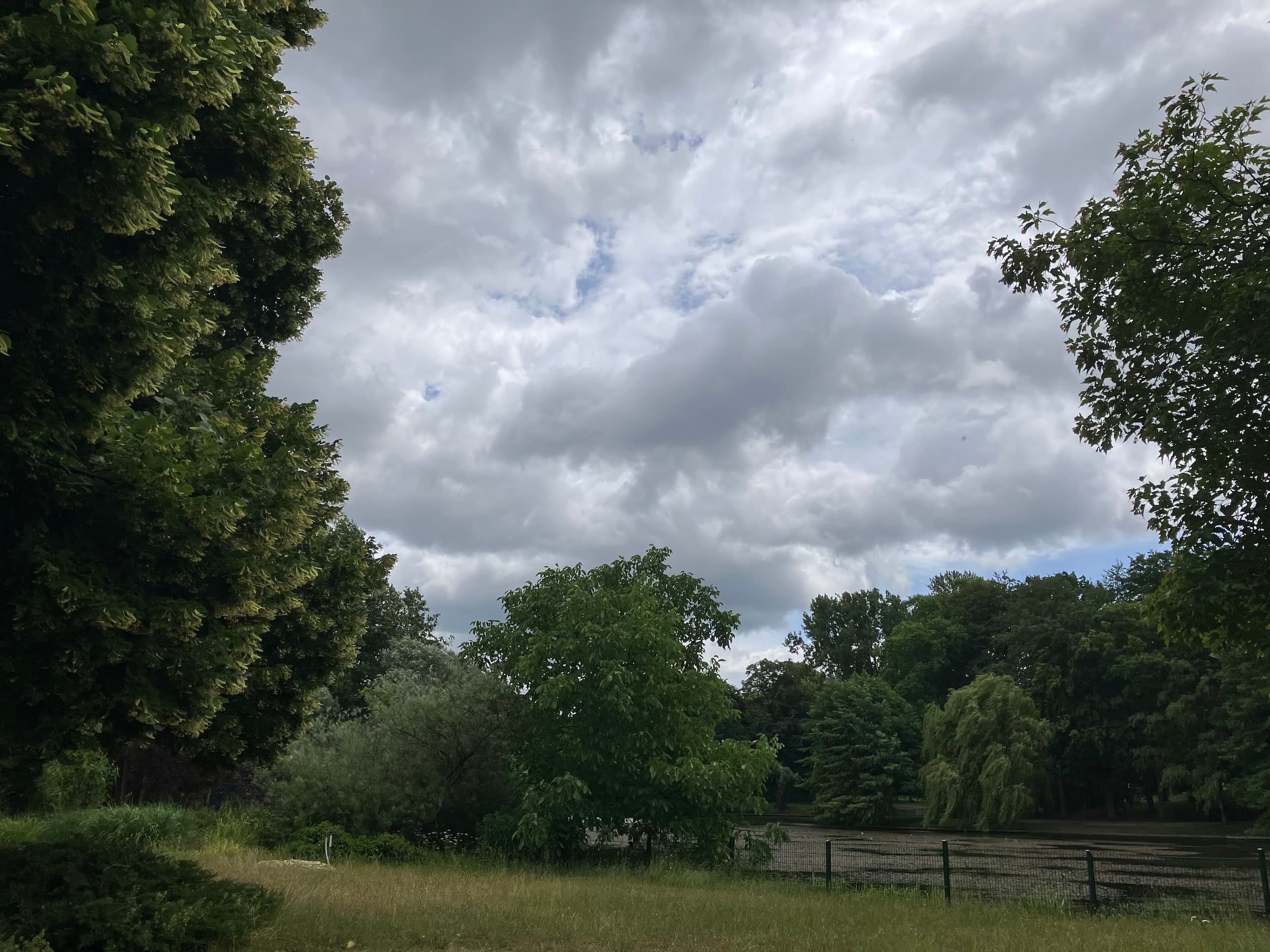 Trees frame a grassy park under a cloudy sky, with a fence visible in the distance.