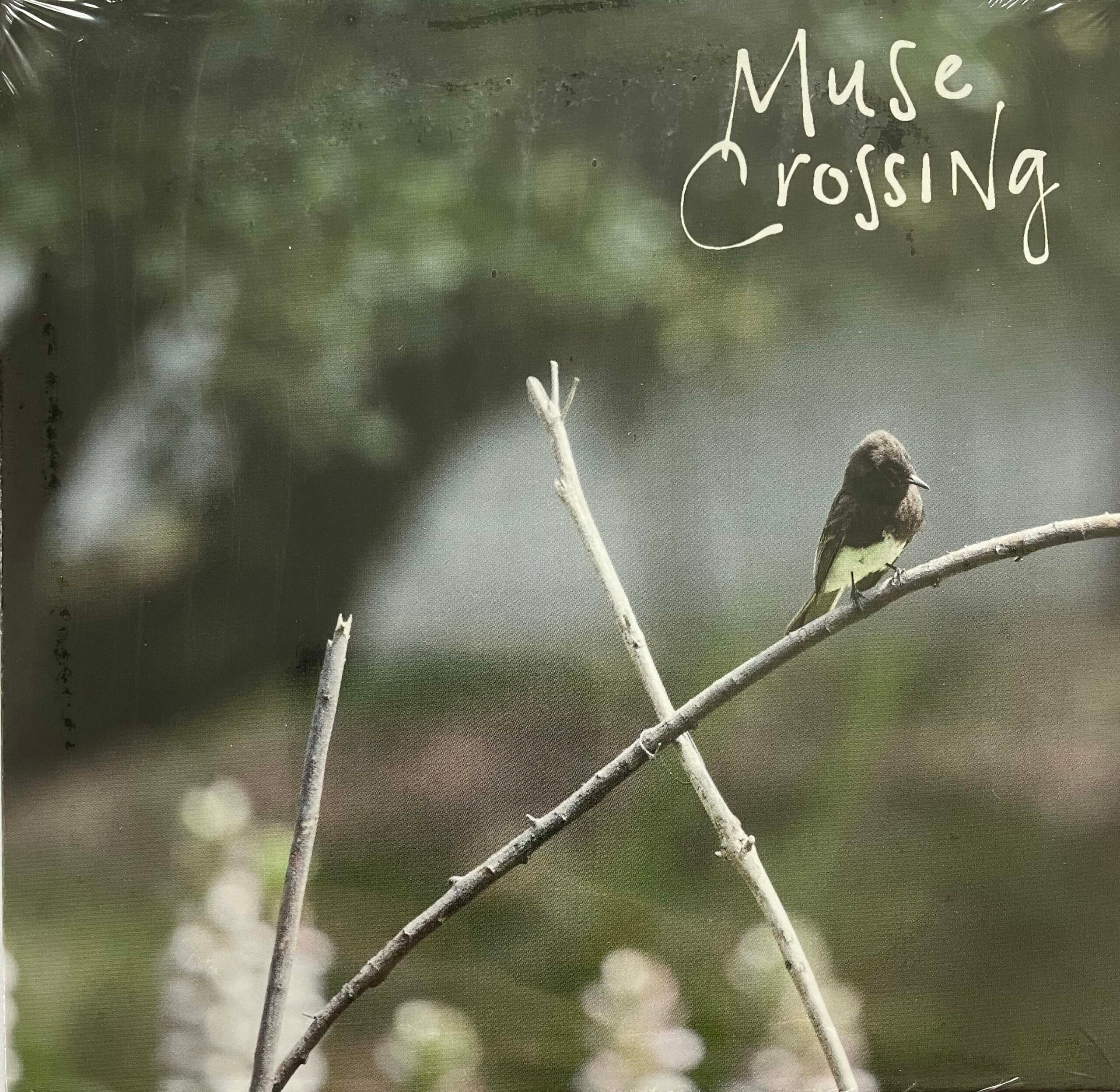 photo of Muse Crossing's Crossed Lines CD