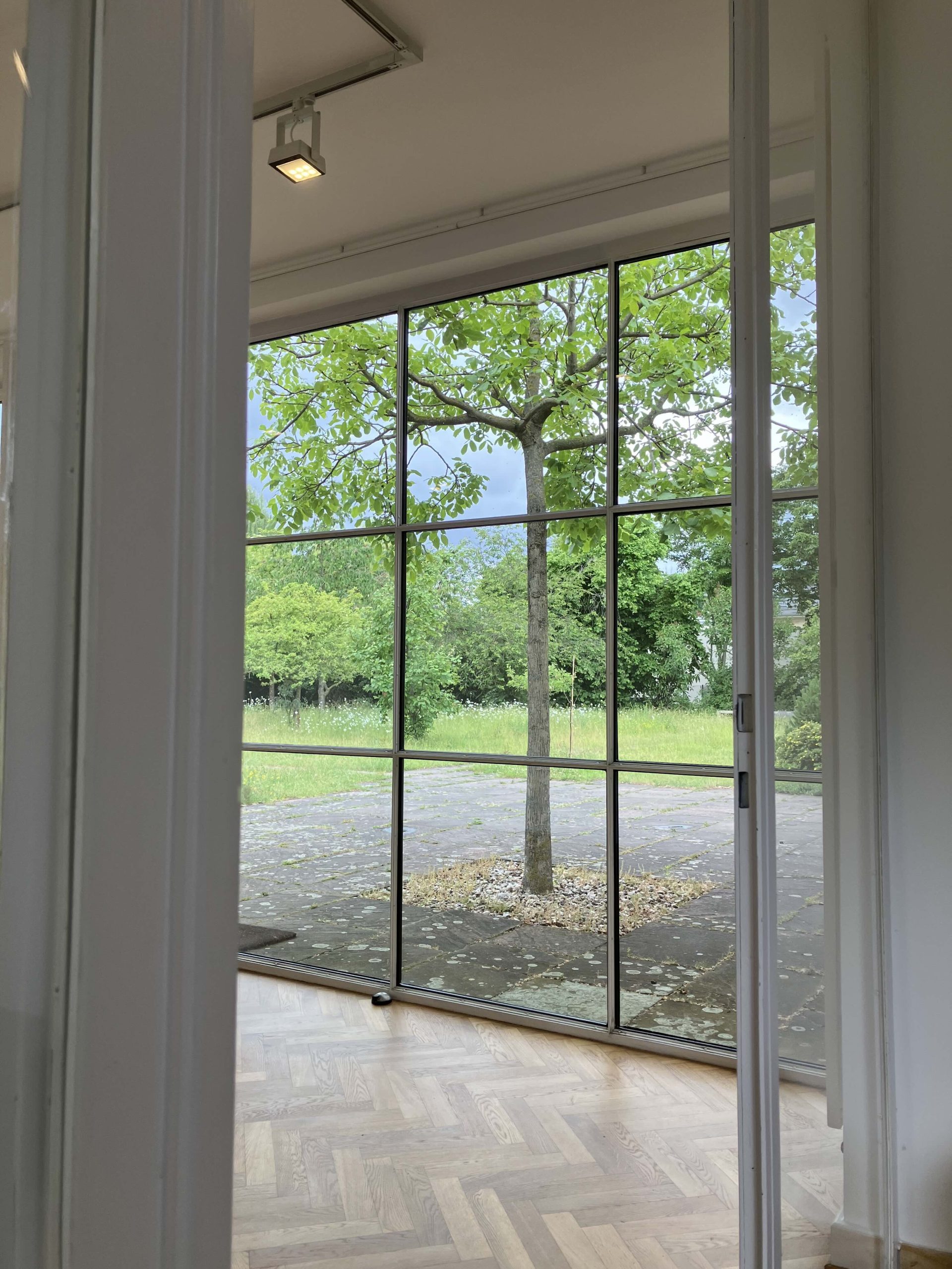 view of a tree through a window
